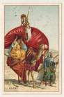 Chromo-Ceremonie.Mariage dans le desert-Maroc-Chameau-Afrique-Db.23