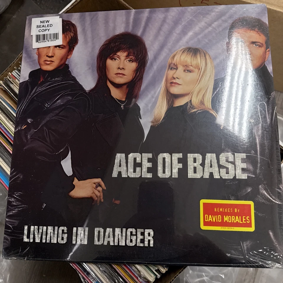 Ace of Base - Living in Danger (1993) Vinyl 12" Single Arista Records NM-