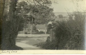 CHANTRY LANE STORRINGTON C1910 F DOUGLAS MILLER HAYWARDS HEATH REAL PHOTO P'CARD