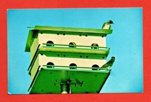 TRIO - MUSSELMAN ... MARTIN BIRD HOUSE postcard advertising PITTSFIELD ILL USA - Foto 1 di 2