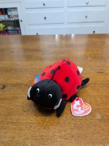 Ty Beanie Babies 2.0 MAIDEN Black Red Ladybug Bean Plush 2008 w/ Code Tag - Picture 1 of 3
