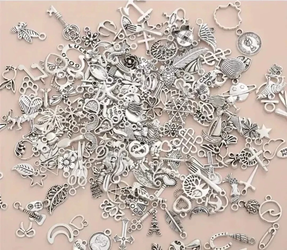 10 Pezzi Di Ciondoli In Lega Di Metallo Argento Per Braccialetti FAI Da Te 0318 - Immagine 1 di 4
