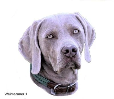 LARGE-SIZED CAR DECALS - WEIMERANER - Image 1 of 2