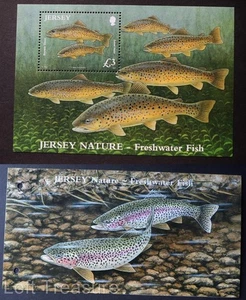 Jersey Stamps "Nature - Freshwater Fish" Presentation Pack MNH £3.00 M/S 2010 - Picture 1 of 4
