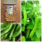 100 Dau Rong Dragon Bean 70 Days Harvest Thai Winged Bean Organic seeds