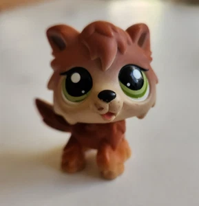 Hasbro Littlest Pet Shop #2141 Timber Wolf Brown Tan Green Dot Eyes LPS - Bild 1 von 6