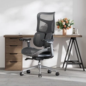 SIHOO Sedia da ufficio ergonomica – Supporto lombare doppio dinamico - Afbeelding 1 van 9