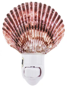 Real Seashell Night Light Purple Pecten Shell Decorative Beach Decor 4" Cottage - Picture 1 of 3