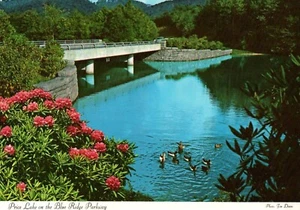 Price Lake on Blue Ridge Parkway, Mallards & Bridge Scene Postcard - Picture 1 of 2