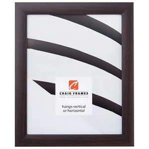 Contemporary Picture Frame, 10 x 13 Inch, Brazilian Walnut Brown - Picture 1 of 5