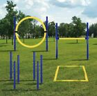 Dog Agility Training Equipment, Dog Obstacle Course, Exercise Fun for Pets