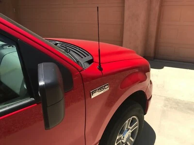 Mástil de antena de 16" negro radio AM/FM para Ford F-150 F150 1980-2008 nuevo Foto 1 de 4