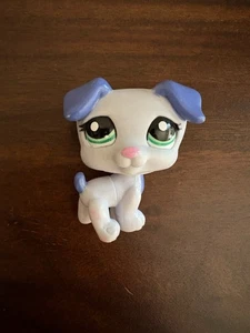 Authentic Vintage Hasbro LPS Littlest Pet Shop 2301 Jack Russell Country Fair - Picture 1 of 3