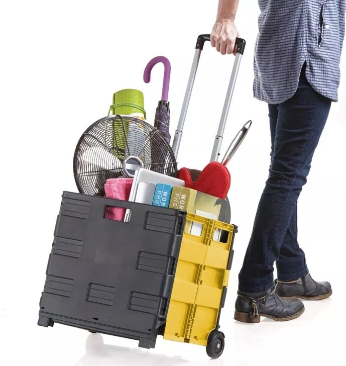 Paquete de almacenamiento plegable rodante ultra delgado-N-Roll-carros utilitarios, con telesc... Foto 1 de 1