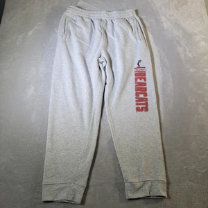 Cincinnati Bearcats Pants Mens XL Gray NCAA College Sweatpants Joggers Cuffed - Picture 1 of 11