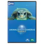 Nature: Animals With Cameras - Season 2 (DVD) (US IMPORT)