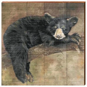Bear Cub Wall Art Printed on Real Wood Lake-Lodge Home Decor- JBEA4-18" x 18" - Picture 1 of 2