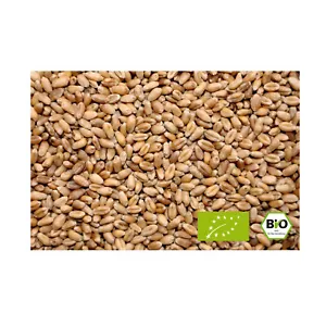 Bio-Weizen 10 kg Landweizen Weizen aus kontrolliert biologischem Anbau - Bild 1 von 4