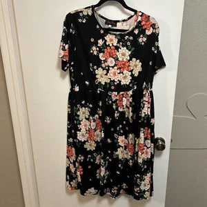 Hanna Nikole Women Summer Casual Short Sleeve Dresses Empire Waist Dress 16w NWT - Picture 1 of 4