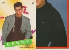 1989 NEW KIDS ON THE BLOCK SINGLE STICKER CARD # 2 DANNY RED BORDER