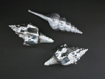 Estatuilla caracola concha marina esculturas acabado metálico plateado pintado playa costa Foto 1 de 4