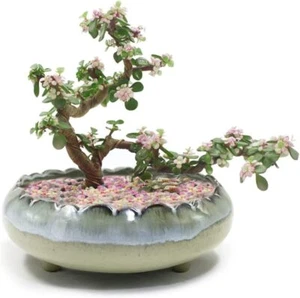 8.3Inch Large/Shallow/Wide Drip Glazed Ceramic Planter/Succulent Pot/Plant Pot - Picture 1 of 6