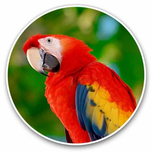 2 x Vinyl Stickers 30cm - Scarlet Macaw Parrot Bird Cool Gift #2022 - Afbeelding 1 van 9