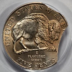 2005 PCGS MS64 18% Double Clip Planchet Bison Nickel Mint Error Very Rare Date - Picture 1 of 4