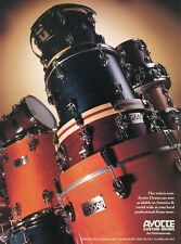 1995年 Ayotte Custom Drumsの印刷広告がアメリカで利用可能になりました
