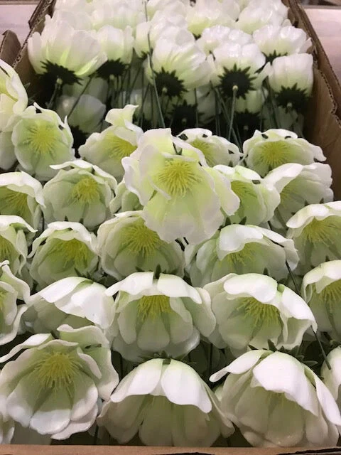 Box Plastic Wreath Making Wired Flowers - Christmas Poinsettia Hellebore Rose - Image 1 of 1