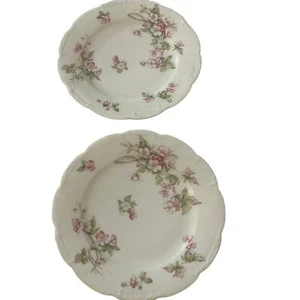 "Juego de 2 platos de porcelana Haviland Francia rosas rosas rosas 7,5""" - Imagen 1 de 5