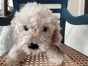 WEBKINZ  BLONDE COCKAPOO  DOG  🐶 HM729  - NEW WITH SEALED CODE - HARD TO FIND - Picture 1 of 6