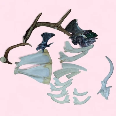 Lote de 19 huesos de animales pequeños: cerdo, ciervo, pavo y huesos varios Foto 1 de 4