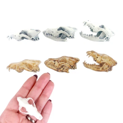 THE SCALE GRAIL Gray Wolf Skull - 1:6 Scale miniature figurine replica for diorama (1 skull)