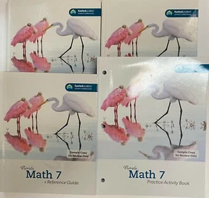 Grade 7 Math Student Teacher Edition Fuel Education Summit Homeschool Curriculum - Picture 1 of 1