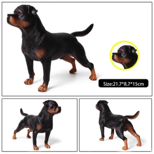 1/6 Maßstab Hundefigur Rottweiler für 12 Zoll Actionfigur Szenenzubehör - Bild 1 von 8