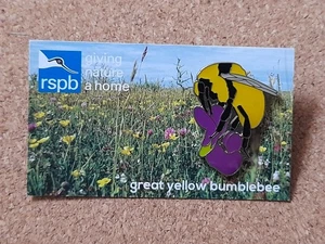 RSPB GREAT YELLOW BUMBLEBEE GNAH SPECIAL Charity Pin Badge - Picture 1 of 2