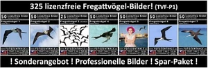 325 Lizenzfreie Profi-Bilder - Fregattvögel - Royalty Free Photoshop UVP 145,- - Bild 1 von 8