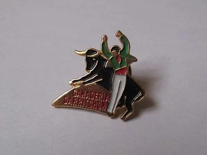 Pin's Tauromachie - corrida / Club Ganaderia Darritchon (Bastide Clairence) - Picture 1 of 1