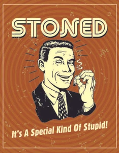 Stoned Special Kind of Stupid Pot Marijuana Funny Humor Wall Décor Metal Sign - Picture 1 of 4