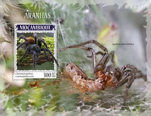 Mozambique 2019 MNH Spiders Stamps Arachnids Greenbottle Blue Tarantula 1v S/S - Picture 1 of 1