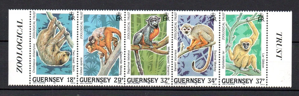 Guernsey 1989 Set Sellos WWF/Mono/Affe (Michel 465/69) Bonito MNH Foto 1 de 1