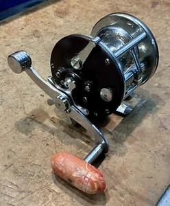 Penn Fishing • Peer 209 • Level Wind Reel • Fully Serviced • USA - Picture 1 of 11