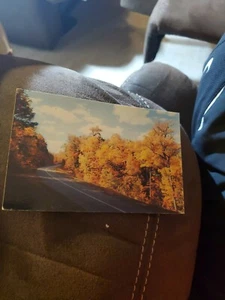 Road To Cades Cove, Parque Nacional Great Smoky Mountains, TN - Imagen 1 de 2