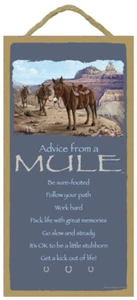 Ratschläge von einem Maultier Seien Sie sicher, folgen Sie Ihrem Weg Get a Kick.... 10x5 Schild E65A - Bild 1 von 3