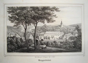 Bad Gottleuba-Bergießhübel Sachsen alte Lithographie aus Saxonia 1835-1841 - Picture 1 of 1