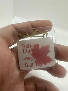 Indiana Dunes Pin (t-ad - Picture 1 of 2