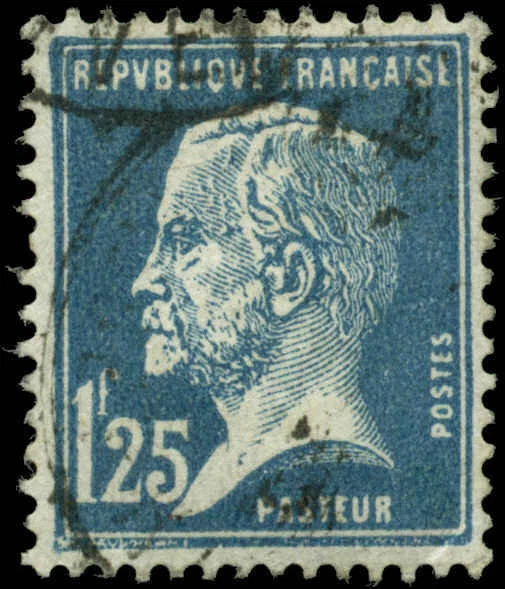 France Scott #195 usado Foto 1 de 1