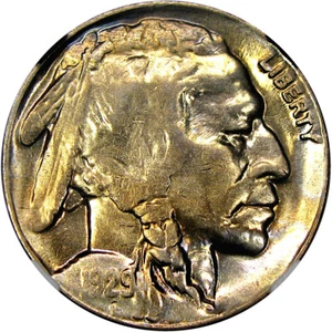 1929-D 5C NGC MS63 BUFFALO ~ PROOFLIKE OBV & ORIGINAL COLOR! - Picture 1 of 5