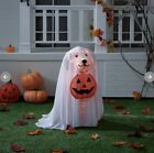 Halloween Haunted Living 24-In Lighted Labrador Retriever Dog With Cape 5278839